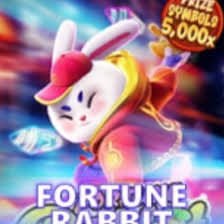 rabbit zodiac fortune 2023 ícone